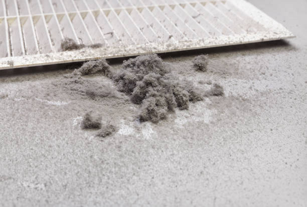 Best Ventilation Cleaning Services  in La Presa, CA