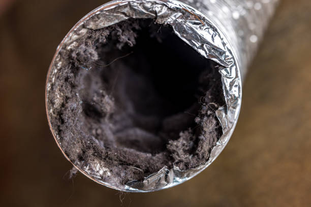 Best Emergency Air Duct Cleaning  in La Presa, CA