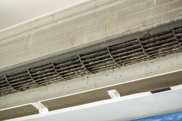Best Air Vent Cleaning Services  in La Presa, CA